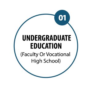 UNDERGRADUATE EDUCATION (Faculty or Vocational School) 