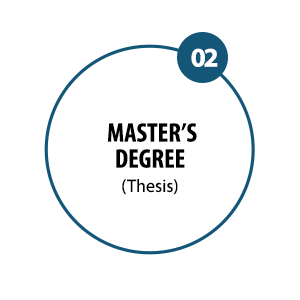 MASTER'S DEGREE (THESIS)